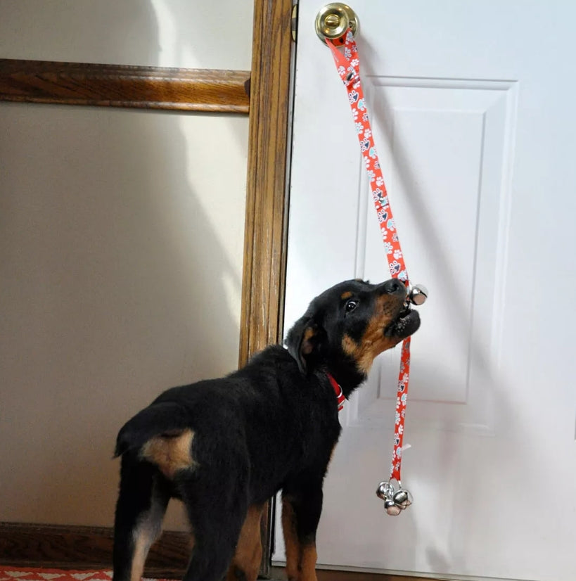Coastal Pet - Advance - Dog Potty Training Bells, Black, 1' X 31'