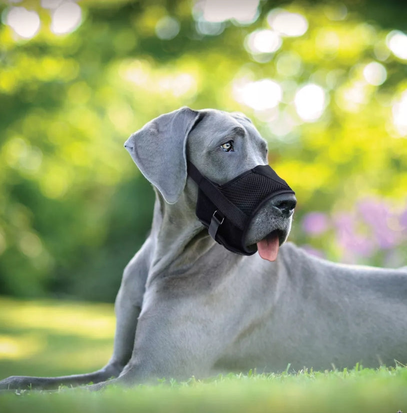 Coastal Pet - Best Fit - Adjustable Comfort Dog Muzzle, Black, 4.5' - 6' (Small)