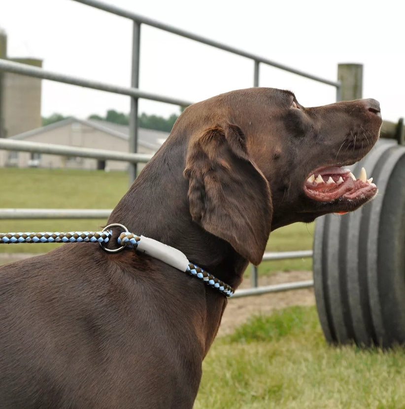 Coastal Pet K9 Explorer Reflective Braided Slip Leash Campfire Orange