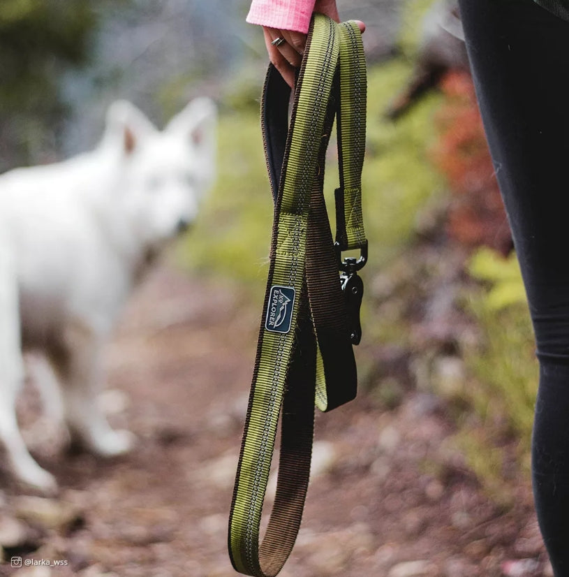 Coastal Pet K9 Explorer Reflective Leash With Scissor Snap Berry