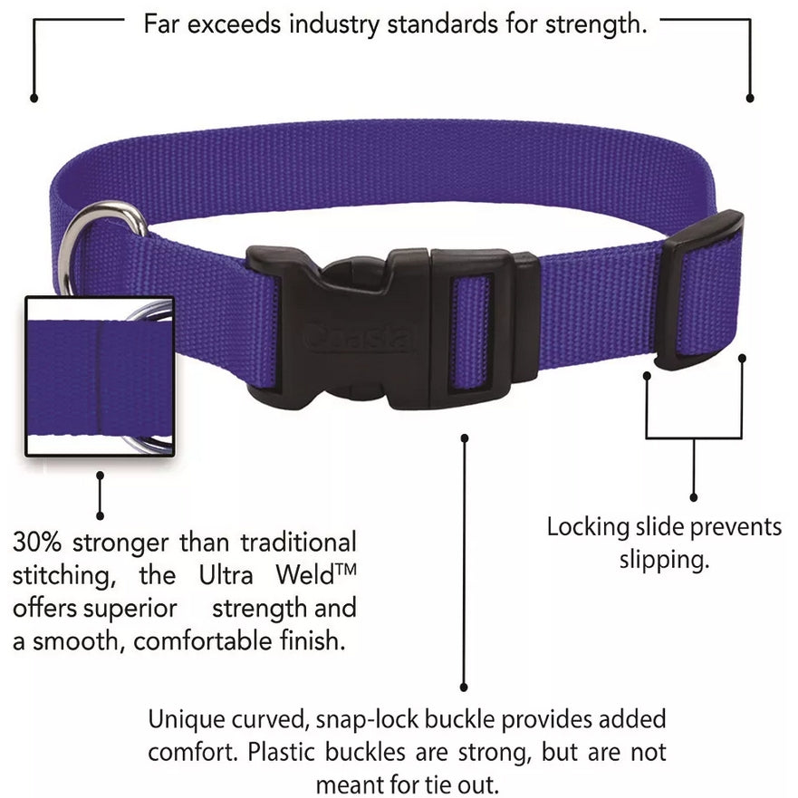 Coastal Pet Nylon Dog Collar Neon Pink