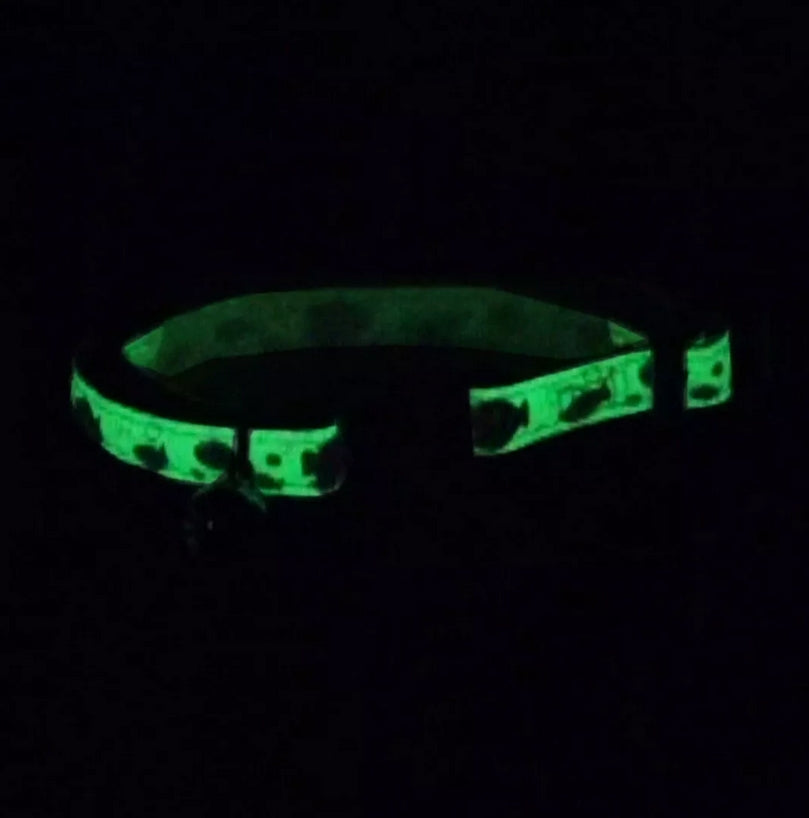 Coastal Pet - Safe Cat Glow In The Dark Adjustable Breakaway Collar - Glowing Lime Green Skulls Print - 3/8” X 8'-12”