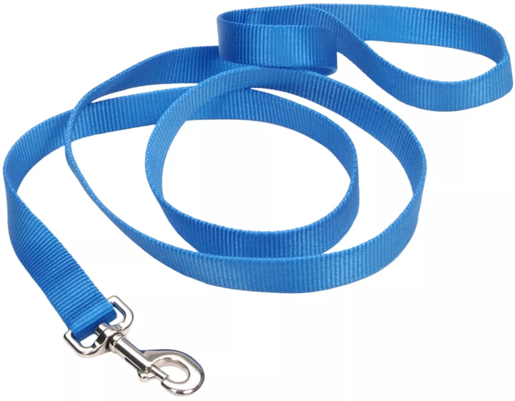 Coastal Pet Single-Ply Nylon Dog Leash Blue Lagoon