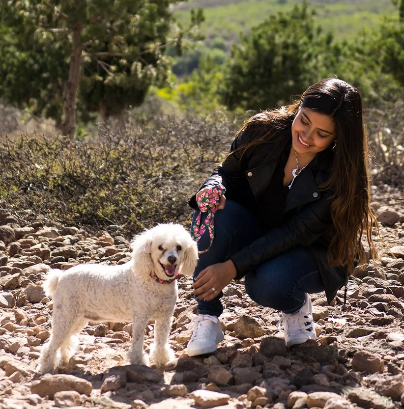 Coastal Pet Products #6621 3/4 Inch Wide X 20 Inch Long Pet Attire Adjustable Collar - Pink Dots