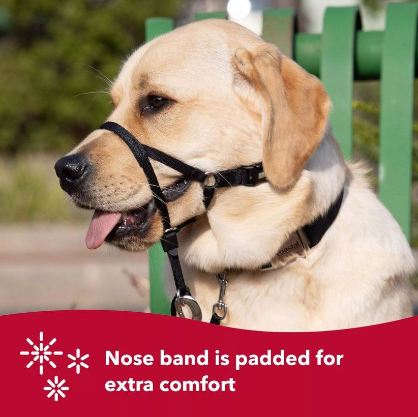 Coastal Pet Walk 'N Train Dog Head Halter - Head Colllar Dog Leader - No-Pull Dog Harness - Quick-Drying Polyester - Black - Xlarge