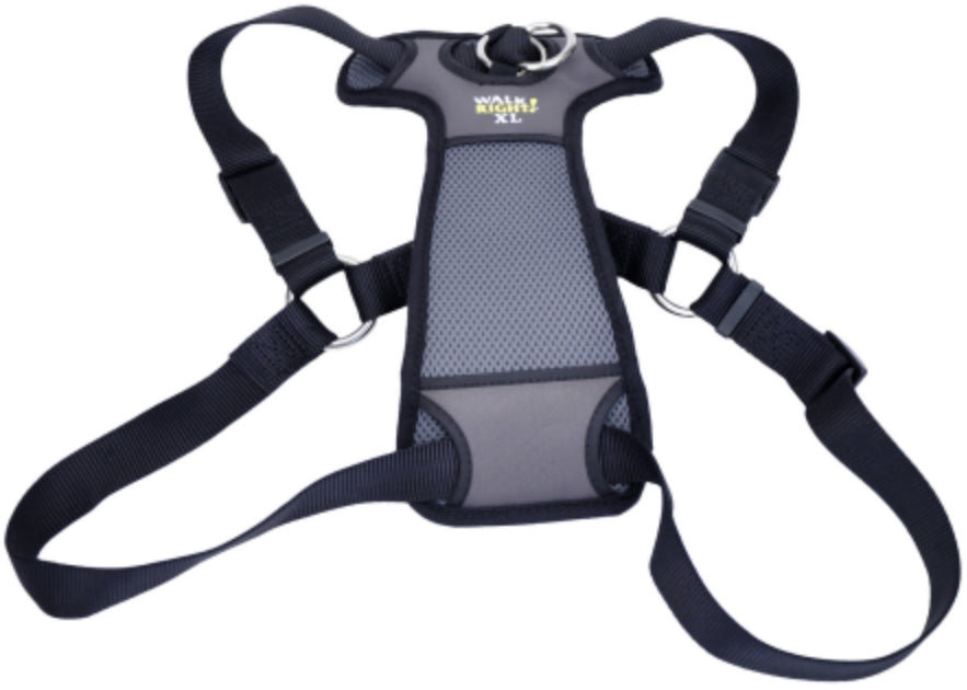 Coastal Pet Walk Right Padded Dog Harness Black