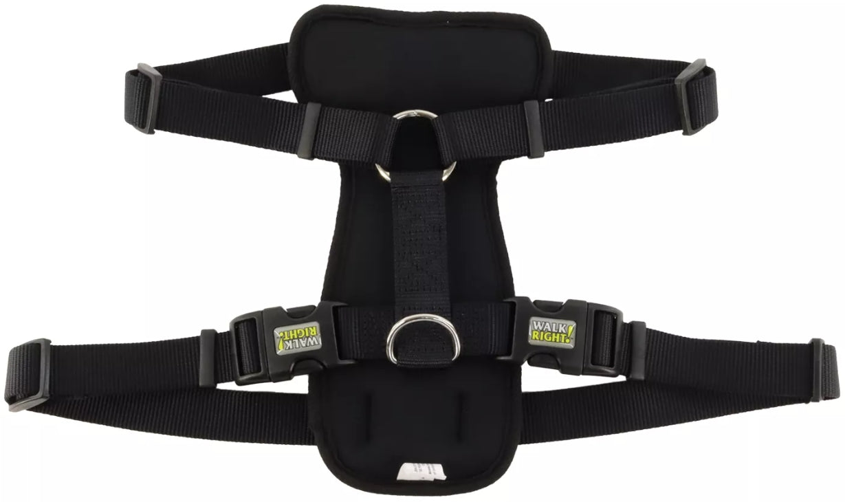 Coastal Pet Walk Right Padded Dog Harness Black
