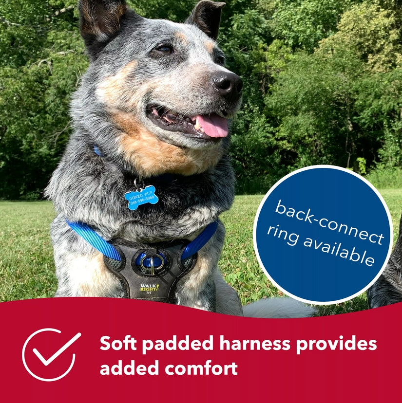 Coastal Pet Walk Right Padded Dog Harness Black