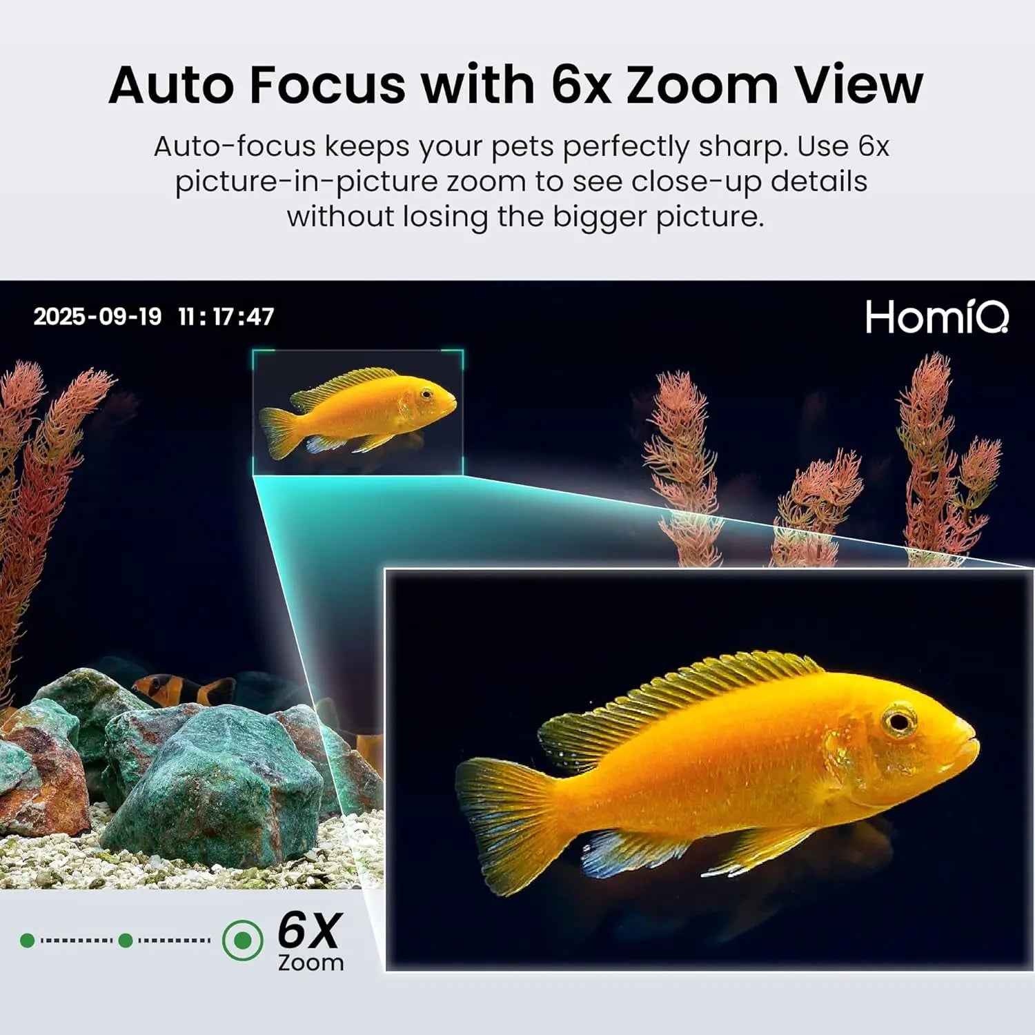3MP 2K Pet Camera for Aquarium & Terrarium with Night Vision
