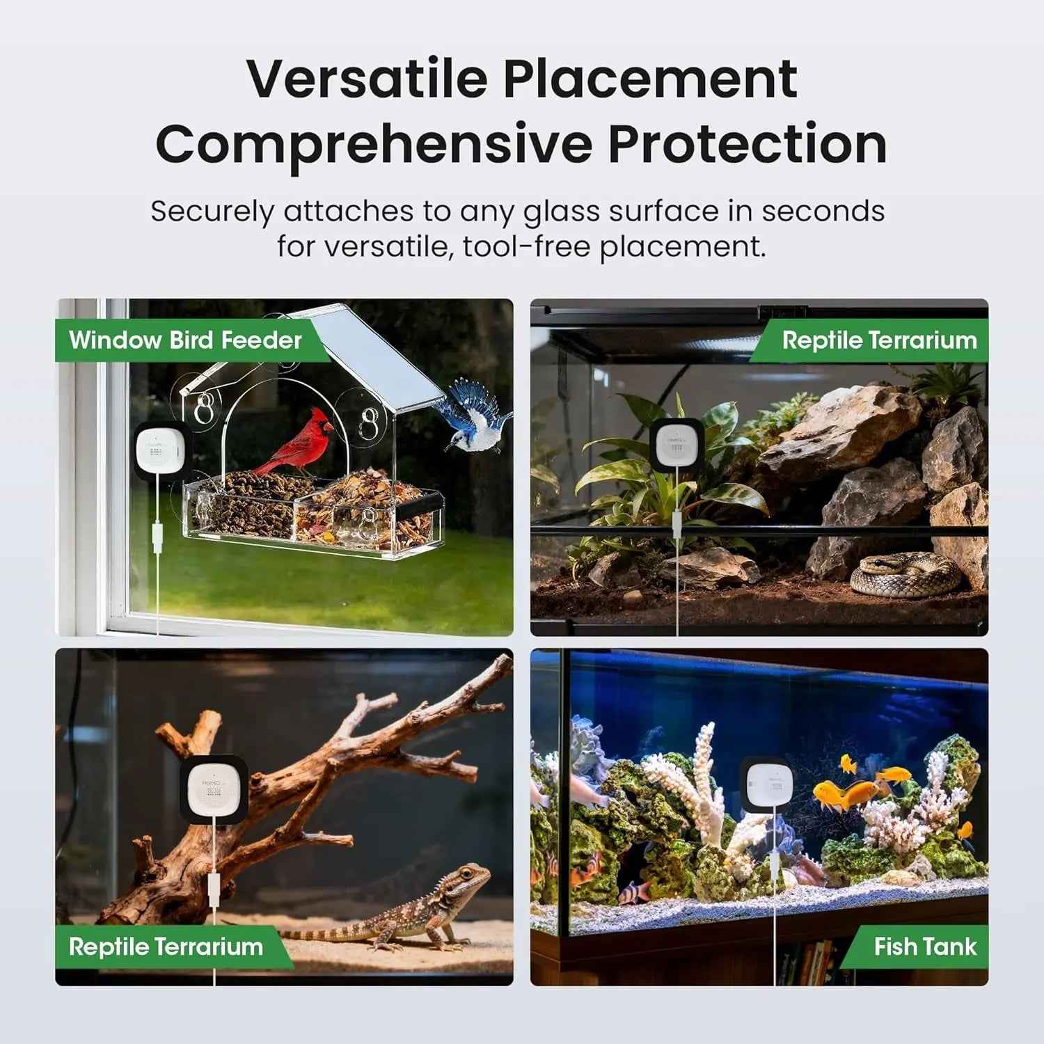 3MP 2K Pet Camera for Aquarium & Terrarium with Night Vision