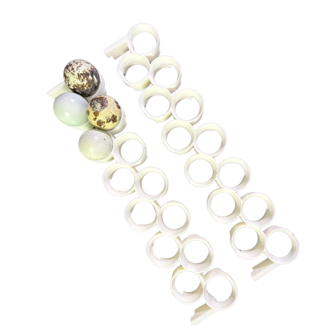 Jumbo Quail Egg Rails for Cimuka / Hatching Time CT180 – Full Set (36 Rails)