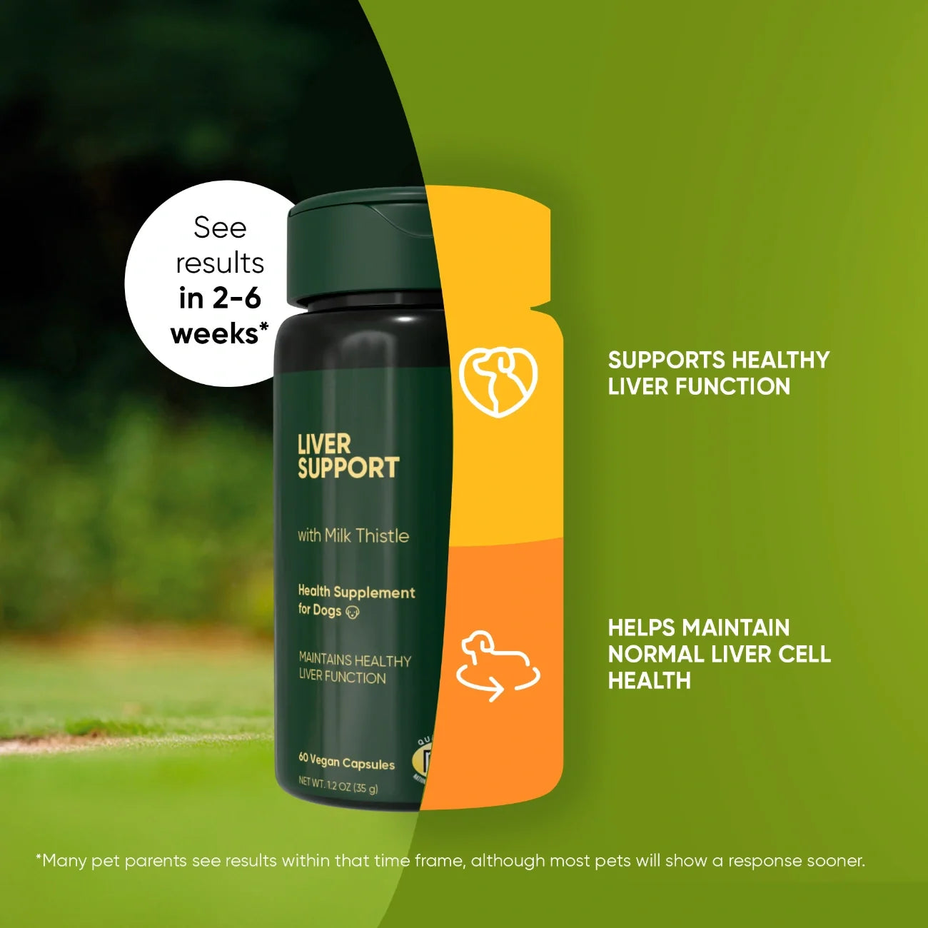 Liver Support