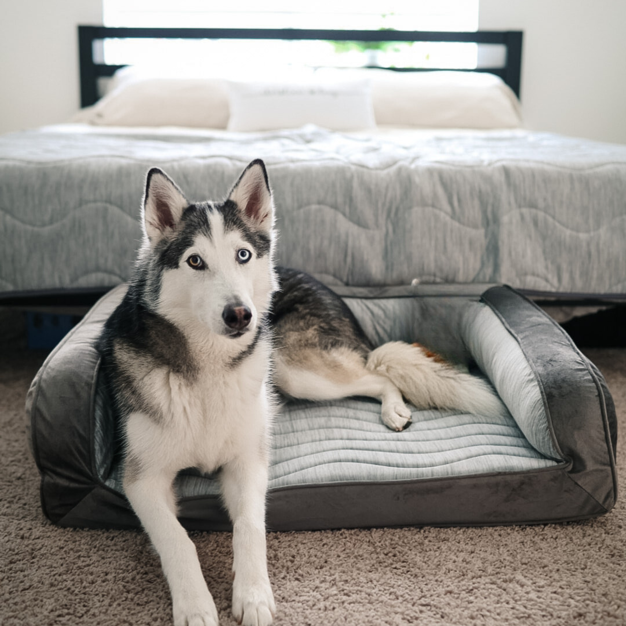 PupChill Cooling Bolster Dog Bed + Waterproof Blanket Bundle - Arctic Grey