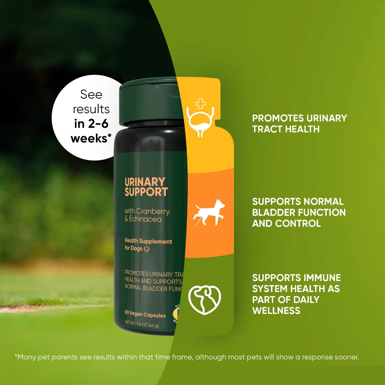 Urinary Support
