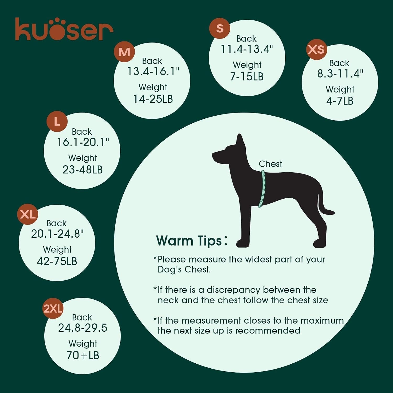 Female Dog Recovery Suit After Spay, XS–2XL