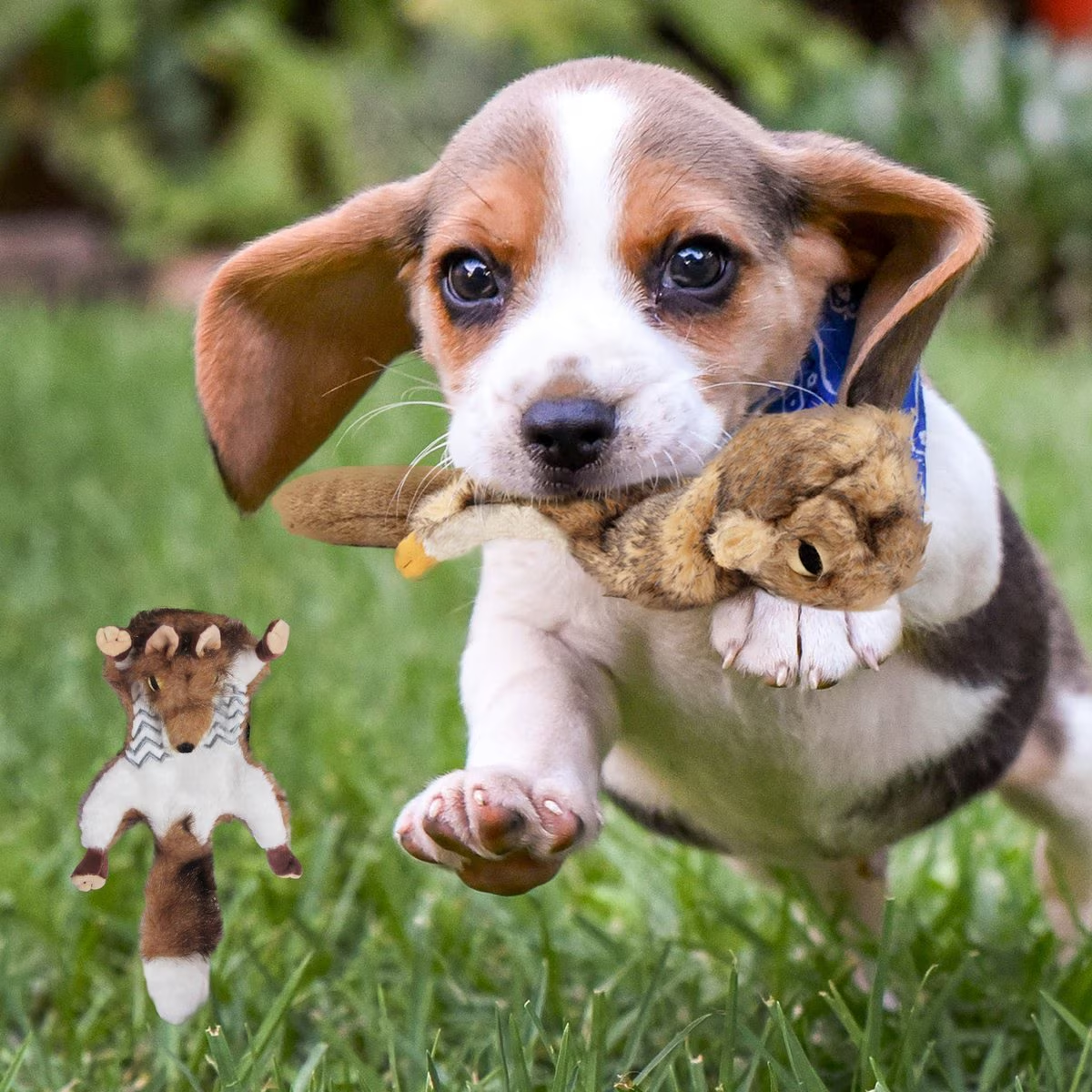 Classic - Dog Toys - Road Kill Fox