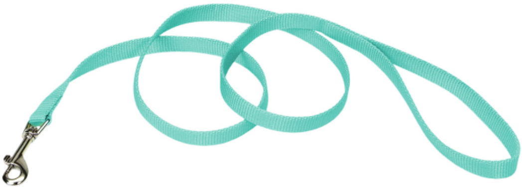 Coastal Pet Single-Ply Teal Nylon Dog Lead