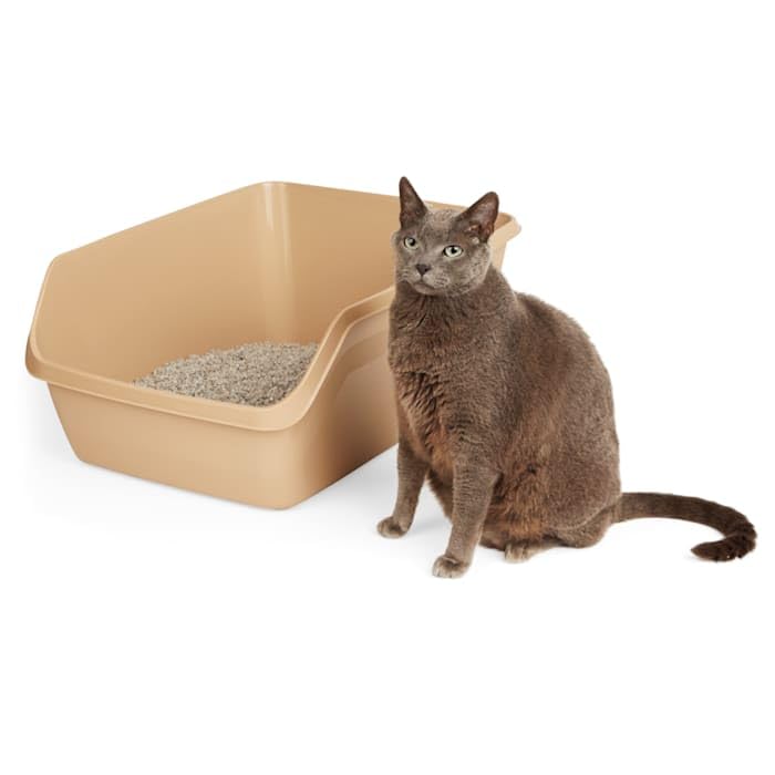 So Phresh Scatter Shield High-Back Litter Box, Tan, X-Large, 24'' L X 18'' W X 10'' H