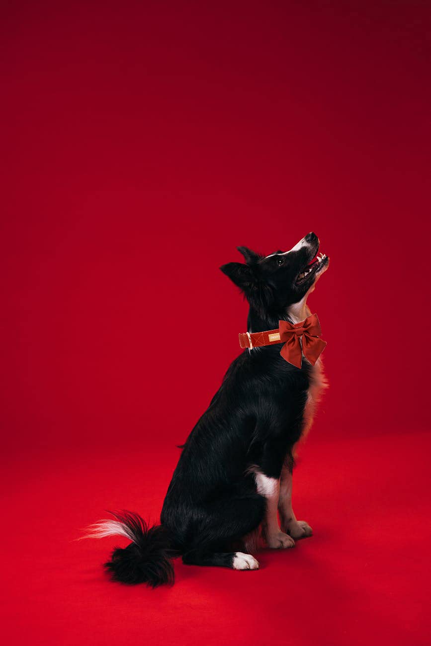 Unique Style Paws Silk Halloween Dog Collar Adjustable Durable Dog Collar With Bow Holiday Bowtie Collar For X-Large Dogs