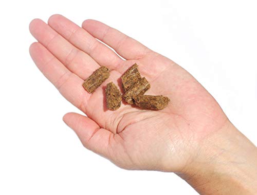 PLATO Pet Treats Small Bites - Air-Dried Training Treats for Dogs - Supports Healthy Digestion - Limited Ingredients - Lamb 2.5o