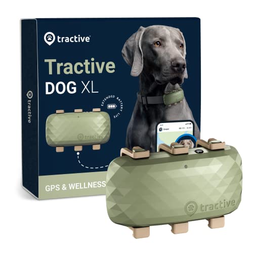 Tractive XL GPS Tracker for Large Dogs - Waterproof, GPS Location & Smart Pet Activity Tracker, Unlimited Range, Works with Any 