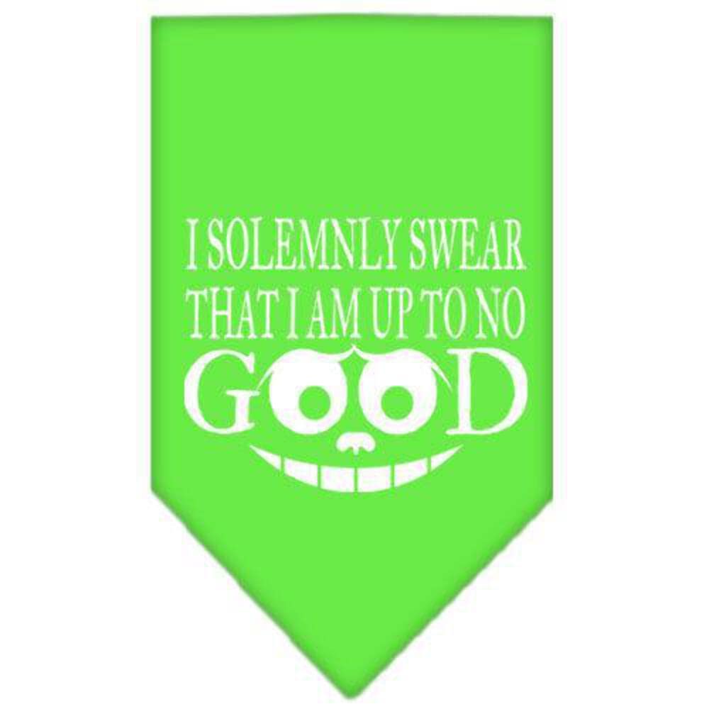 Pet and Dog Bandana Screen Printed, &quot;I Solemnly Swear That I Am Up To No Good&quot; Emerald Green Small