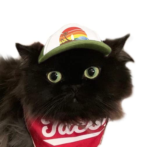 Puplid Trucker Hats For Kittens - Premium Stylish Sun Protection For The Modern Cat - Adjustable Secure Fitting Cat Hat (Green, 