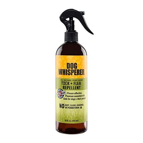 Dog Whisperer Tick + Flea Repellent, All-Natural, Extra Strength, Effective on Dogs and Their People (16 Ounce Spray)