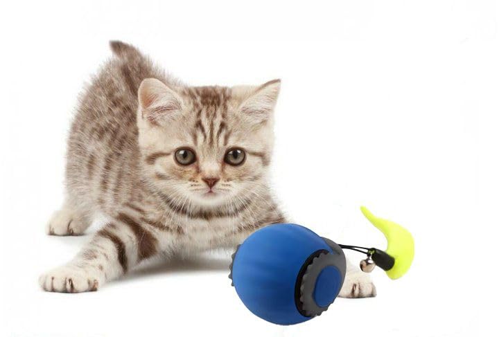 Zykornium Interactive Cat Toy Ball - Automatic Rolling Rechargeable Cat Toy, Chasing Ball For Indoor Cats & Kittens, Feather Tai