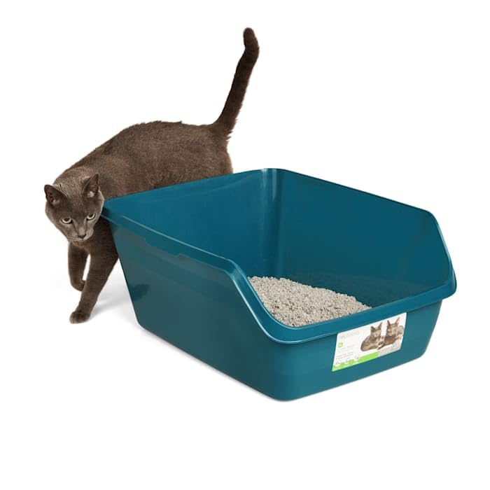 So Phresh Teal Scatter Shield High-Back Litter Box For Cat, X-Large