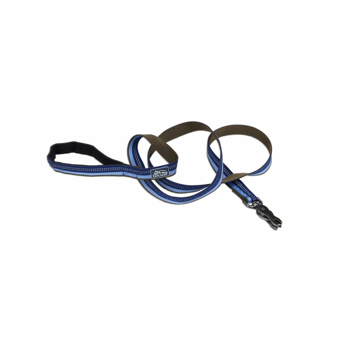 Coastal Pet K9 Explorer Reflective Dog Leash With Scissor Snap - Durable Nylon Leash - Leashes For Dogs & Puppies - Pet Supplies For Dogs - Sapphire, 5/8' X 6'