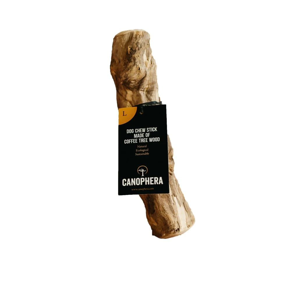 Canophera Coffee Wood Dog Chew Sticks For Regular Chewers - Size Large