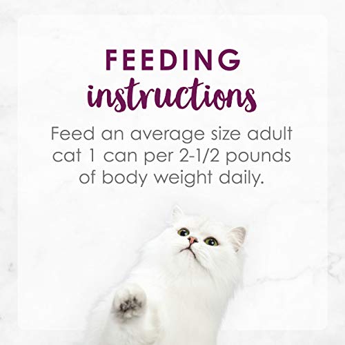 Purina Fancy Feast Gravy Wet Cat Food Medleys Florentine - 24 Pack of 3 Oz Cans, Chicken, Tuna, Turkey Flavors
