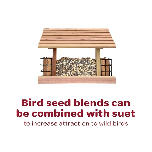 Kaytee All American Wild Bird Food Seed Blend, 18 Pound