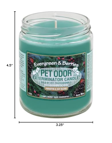 Pet Odor Exterminator Candle, Evergreen Berries,13 Oz