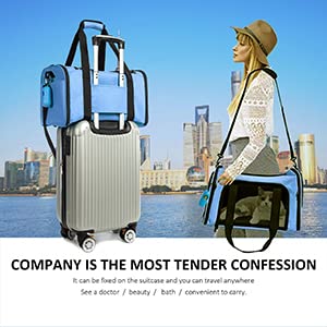 Rosebb Cat Carrier Dog Carrier Pet Carrier Cat Bags For Small Medium Cats Dogs Puppies Of 15 Lbs,Of Airline Approved Small Dog Bag Soft Sided,Collapsible Travel Puppy Carrier (Large, Blue)