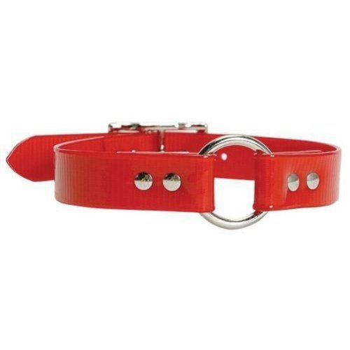 Omnipet Sunglo Ring-In-Center Dog Collar, 1' Wide, Orange, Fits 18.5'- 22' Neck Sizes, Vibrant Colors & Tough Construction Fo