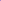 Pet and Dog Bandana Screen Printed, &quot;Local Celebrity&quot; Purple Small