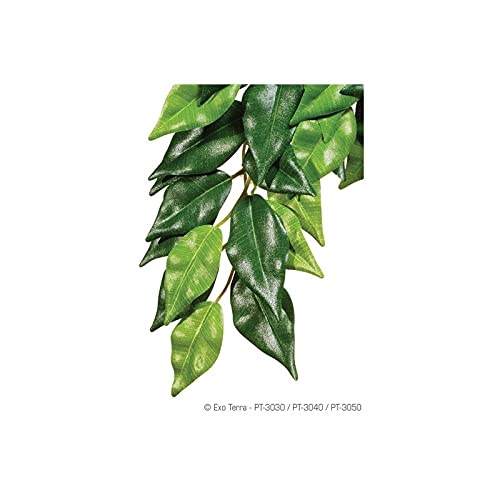 Exo Terra Silk Terrarium Plant, Large, Ficus