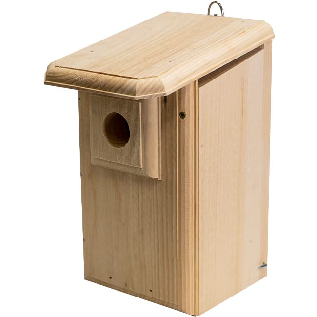 Western/Mountain Bluebird House