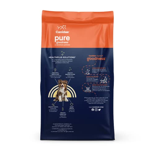 Canidae Pure Limited Ingredient Premium Adult Dry Dog Food, Real Wild Boar & Garbanzo Bean Recipe, 4 lbs, Grain Free