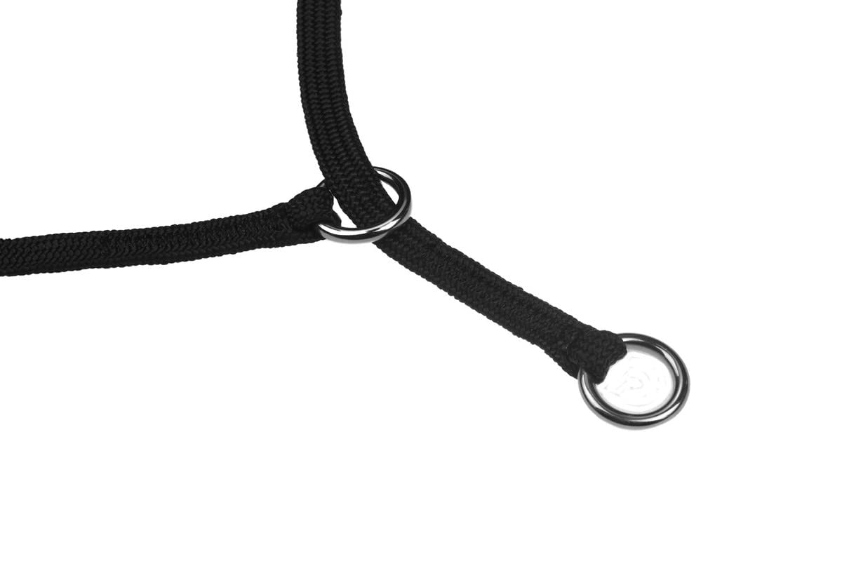 Alvalley Show Slip Collar For Dogs - Flat Braided Nylon Conformation With Chrome Plated Rings - Designer For Shows And No-Pull T
