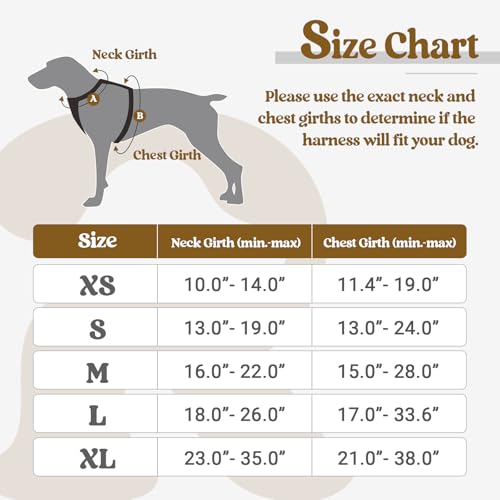 Rabbitgoo Dog Harness No Pull With 2 Leash Clips, Adjustable Soft Padded, Reflective Oxford No Choke Pet Vest With Easy Control Handle For Large Dogs, Black, L