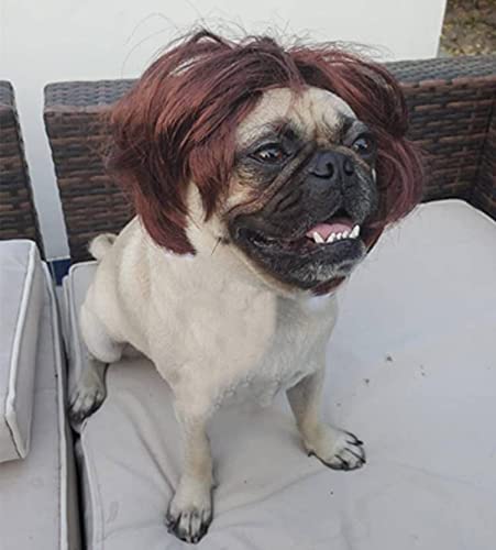 Dog Wig Pet Costumes, Cat Costume Synthetic Accessories Small Dog Headwear For Halloween Christmas Eve Festival Party Decor, Head Wear Apparel Toy (B)