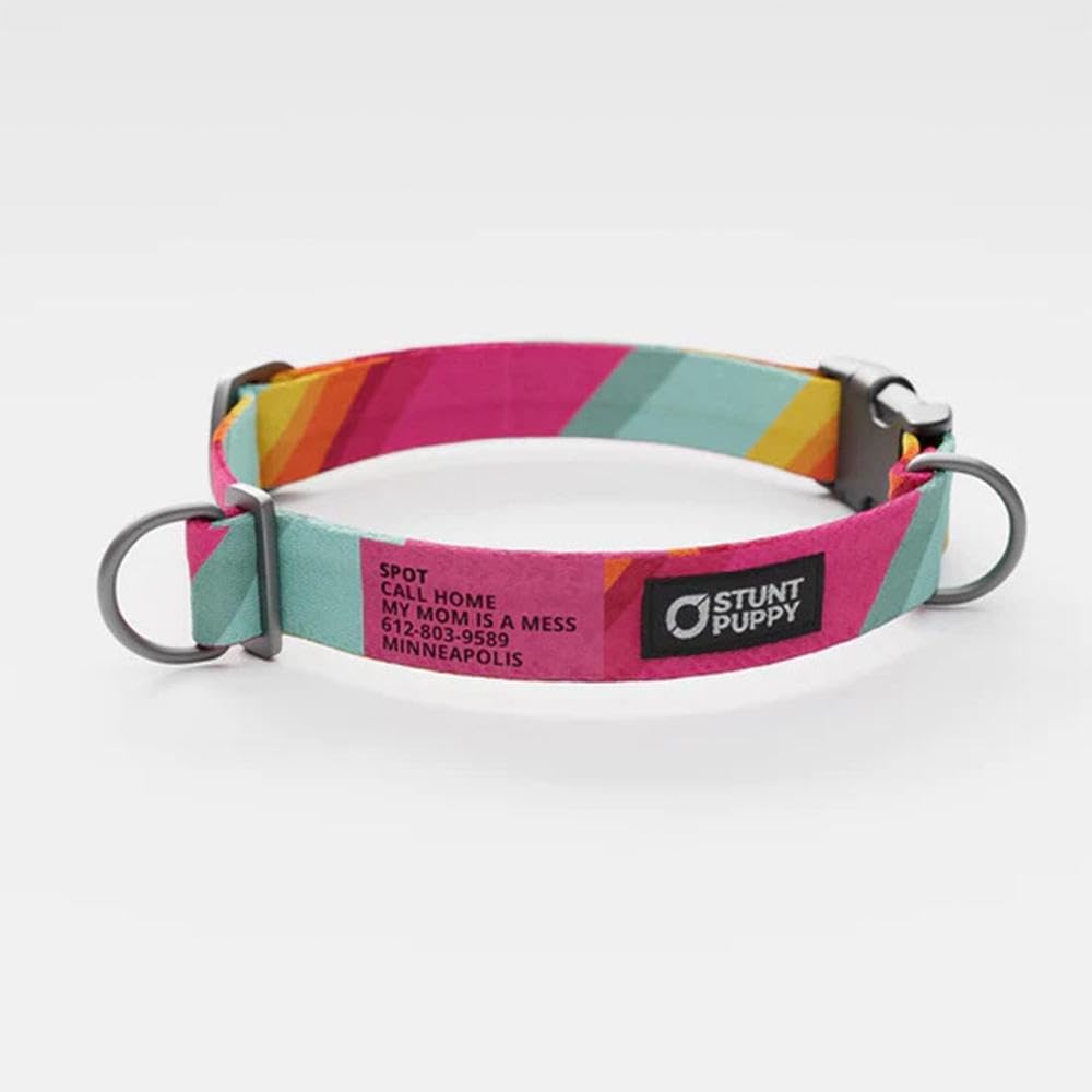 All Are Welcome Here Everyday Collar Medium