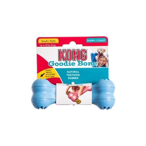 Kong Puppy Goodie Bone Dog Toy, Medium, Color Varies