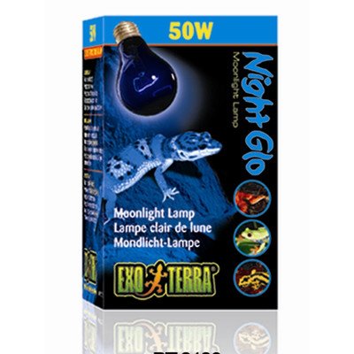 Exo Terra Night Heat Lamp 50W