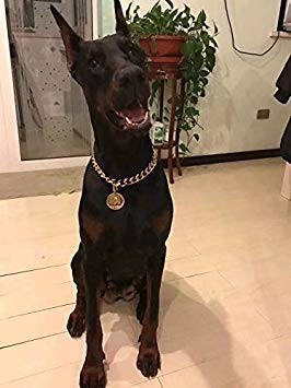 Loveshine Chain Dog Collar 18K Gold Cuban Link Dog Chain Chain Collar Metal Stainless Steel Heavy Duty Slip Dog Collars For Smal