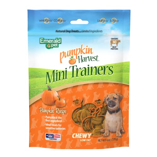 Emerald Pet Pumpkin Harvest Mini Trainers Chewy Dog Treats