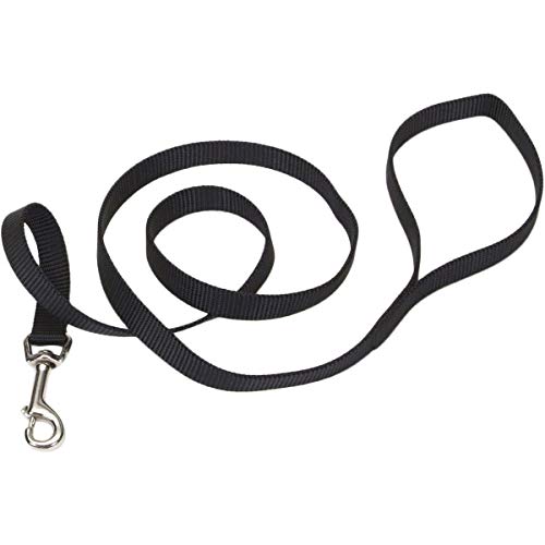 Coastal Pet Products 5/8'' Single-Ply Nylon 6 Training Dog Leash Red